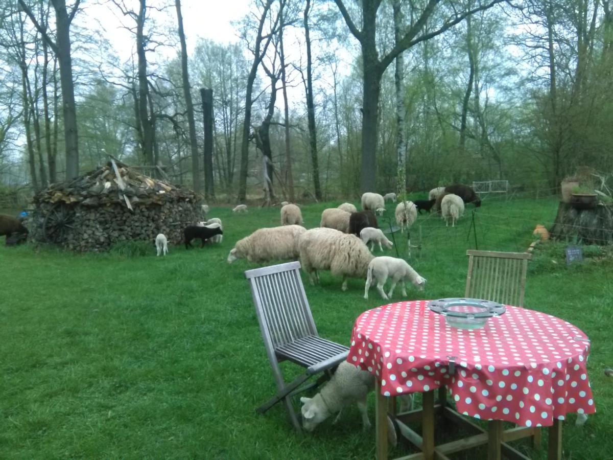 Ferienhof "Zum Spreewaeldchen" بورغ المظهر الخارجي الصورة